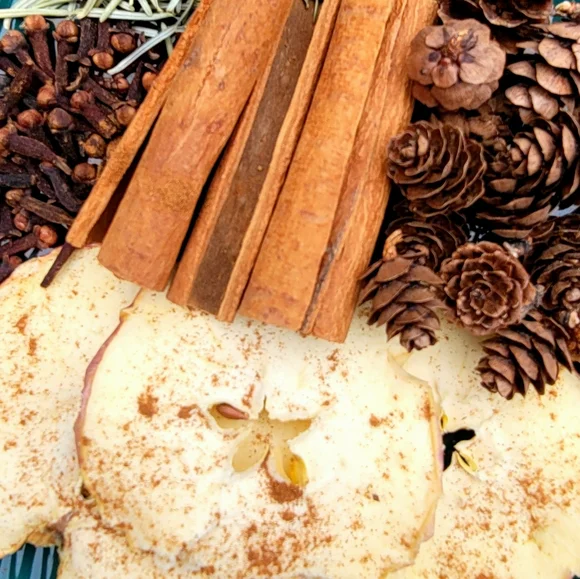 Evergreen Apple Simmer Pot Bag Stovetop potpourri Home Fragrance - Picture 3 of 8